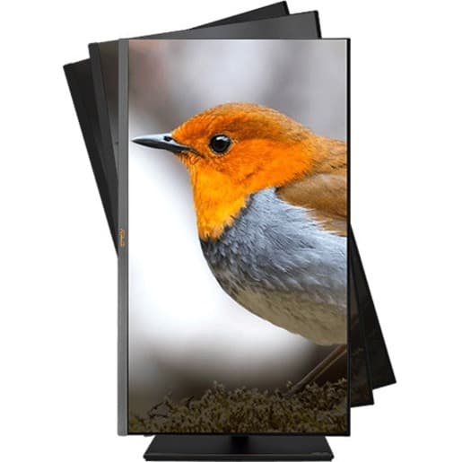 ASUS ProArt PA32UCX-PK 32-inch 4K HDR Mini LED professional monitor