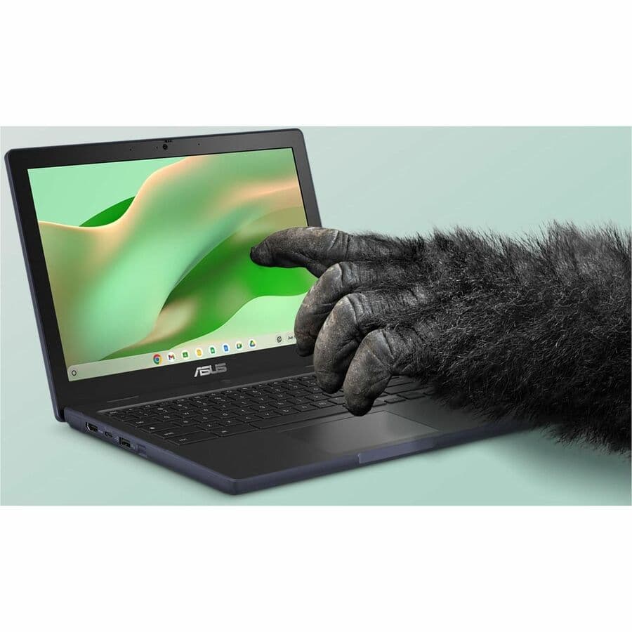 ASUS Chromebook CZ1204CM2A-YZ84 grey 12.2-inch WUXGA non-touch laptop