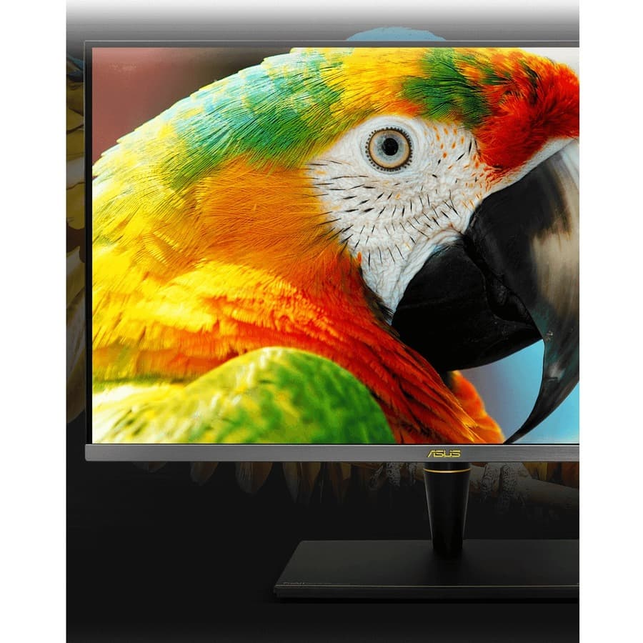 ASUS ProArt PA32UCX-PK 32-inch 4K HDR Mini LED professional monitor