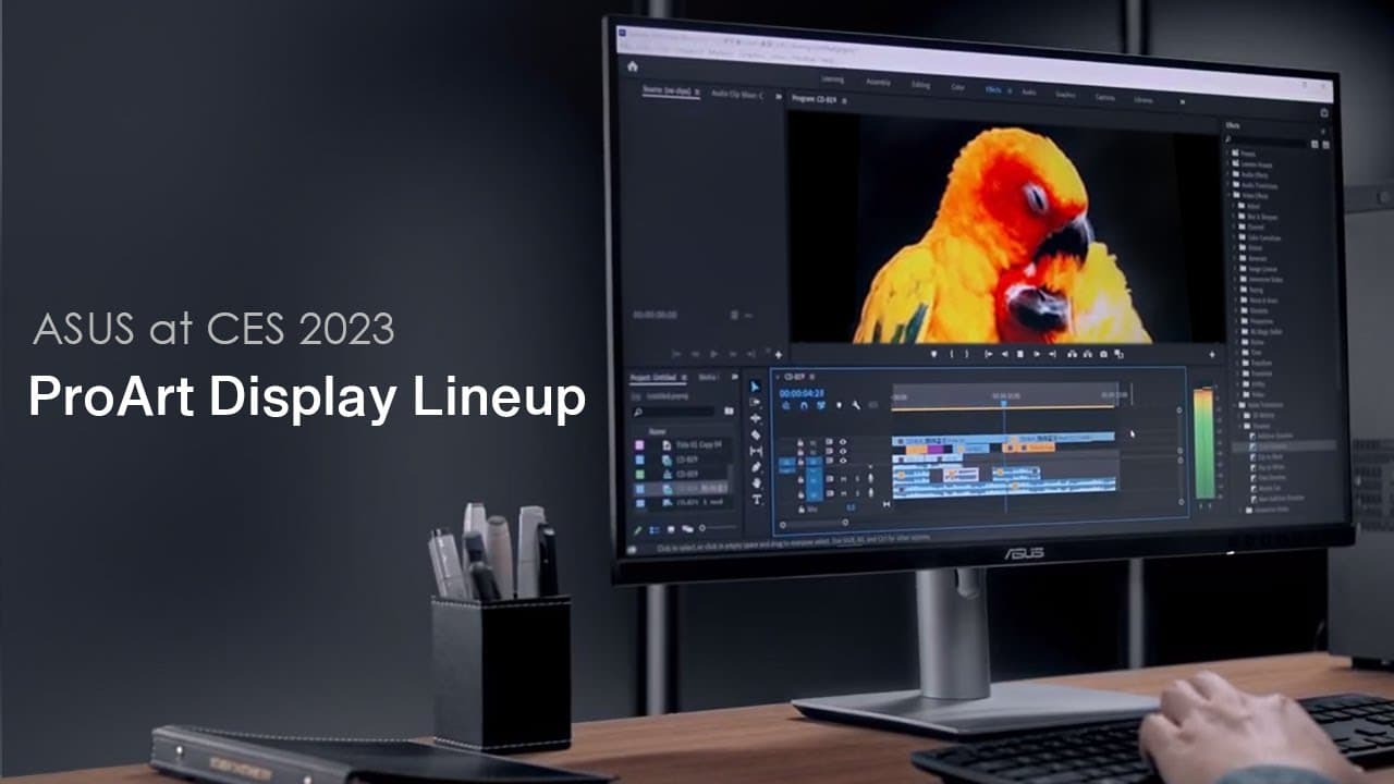 ProArt Display Lineup Highlight - OLED PA32DCM & PA279CRV | ASUS CES 2023