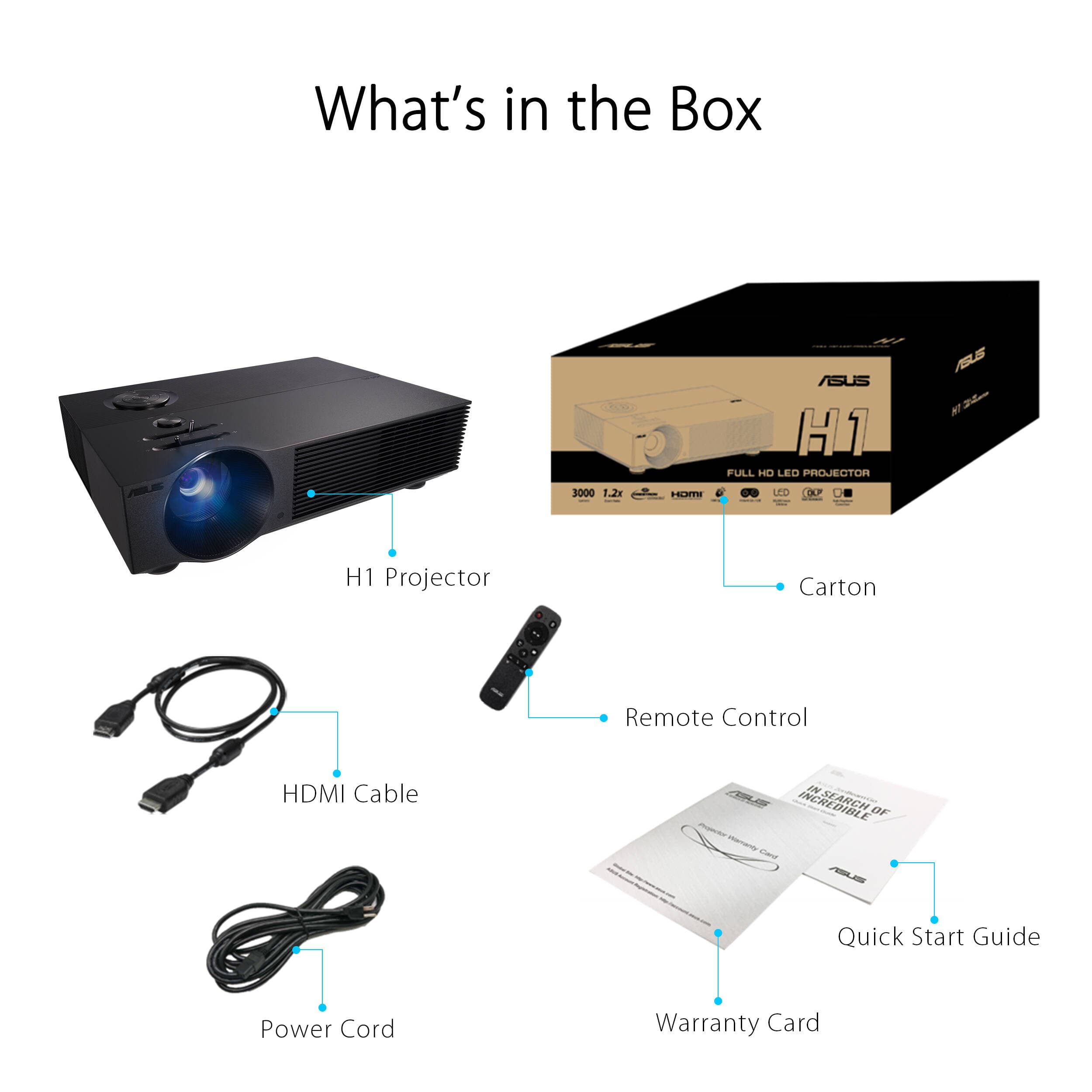 H1 Projector view 14