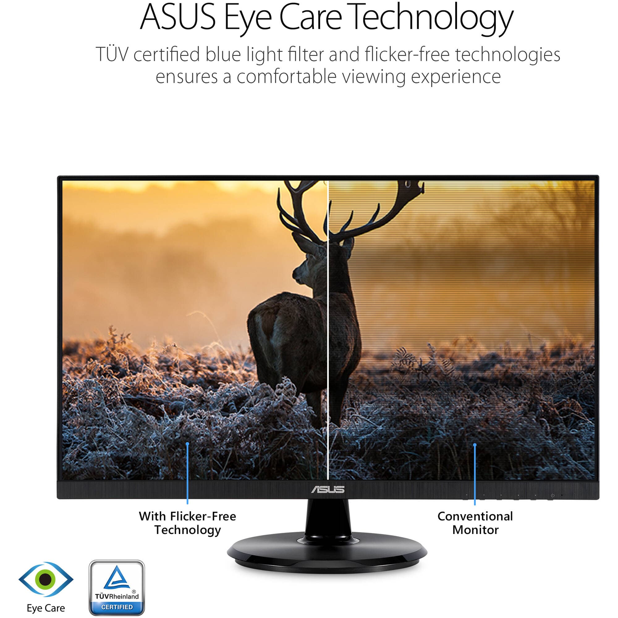 ASUS VA24DQ 23.8-inch Full HD IPS monitor with frameless bezel and HDMI